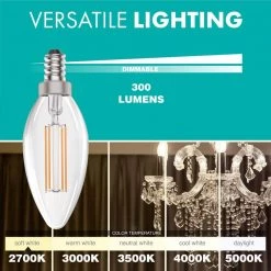 40-Watt Equivalent Dimmable E12 Filament Candle LED Light Bulb, 2700K Warm White Light, 50-Pack by Simply Conserve 9 40-Watt Equivalent Dimmable E12 Filament Candle LED Light Bulb, 2700K Warm White Light, 50-Pack by Simply Conserve -Flint Garden Online Store simply conserve led light bulbs l04cdl2700kfilv2 4f 1000